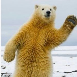 Meet your Posher, Richard